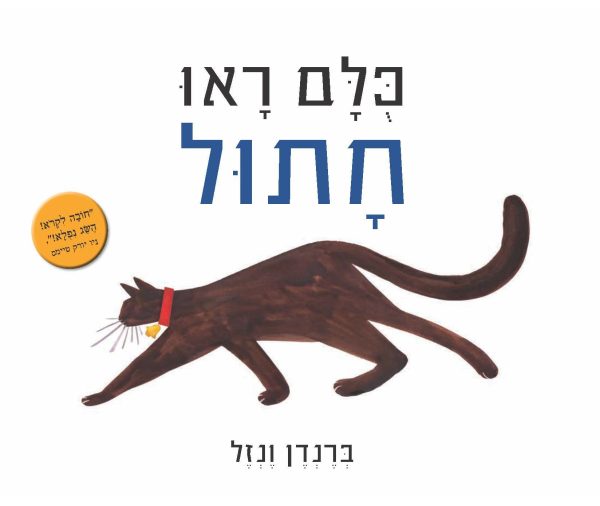 כלם ראו חתול